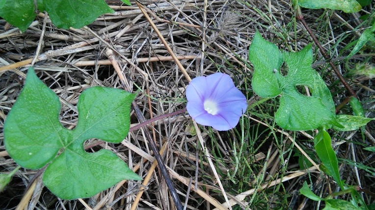 260C3F4D57982E72314D4B