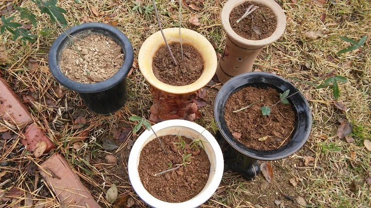 21560F335827CF52326BE6