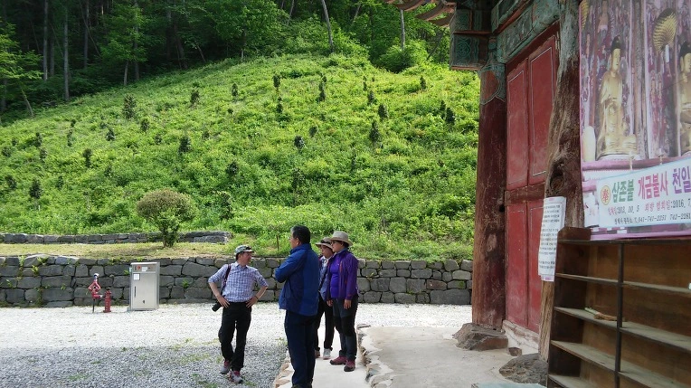 242FE43A572E69FF2F5560