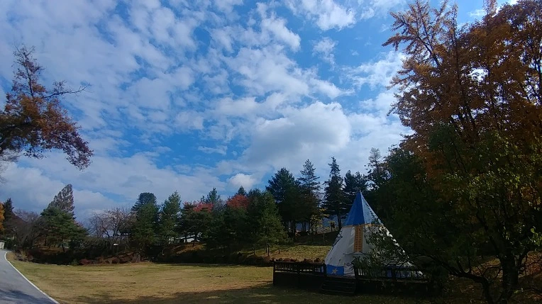 99D13E3C5BD6AD5729492D