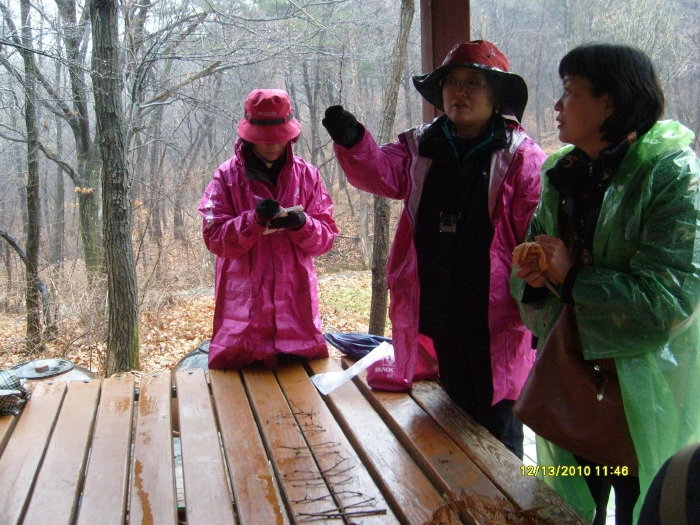 212C0D47547F907E26210E