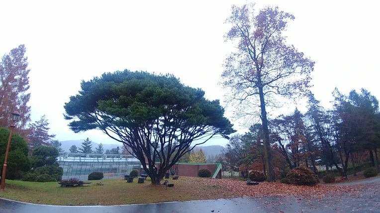 9945E0365C275B072B0490