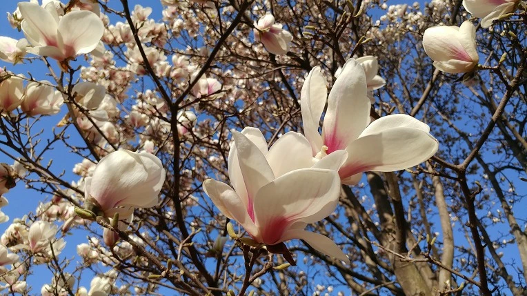 99E42A485CF612EC20A2EE