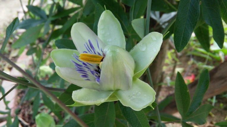 2108B53A57BD0FA32B9927