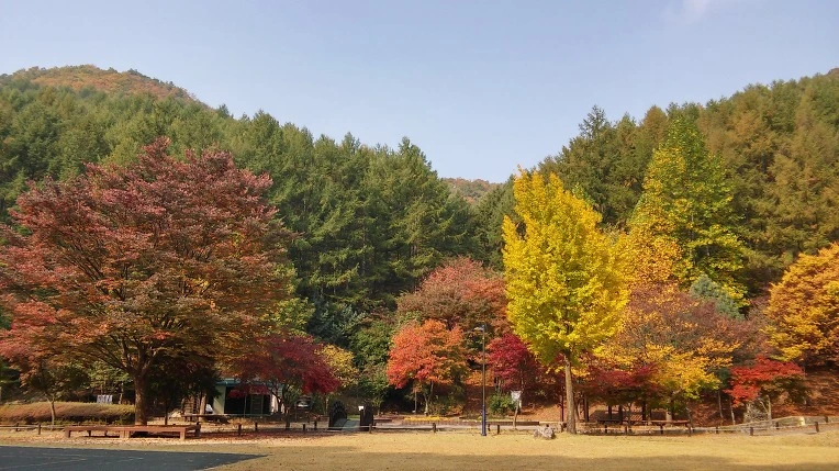 277A1C4D56288030061B3F