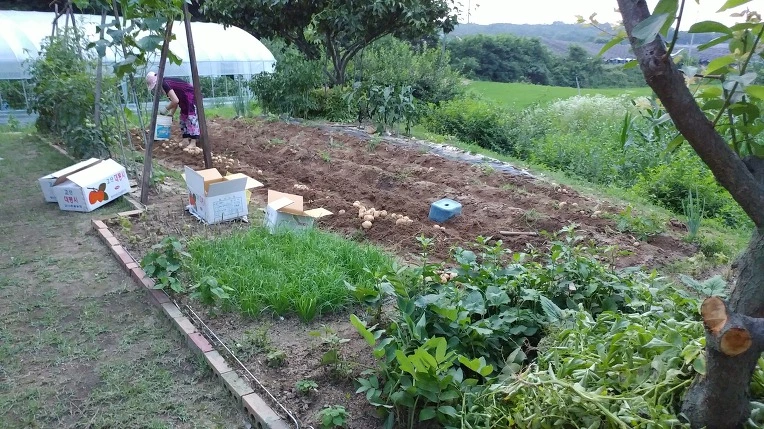 9923A7495B3D5839220CF5