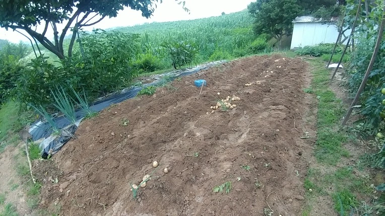 9992A0445B3D58761E5EEC