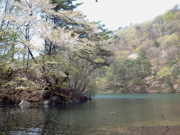 145969414DBF9FC2142409