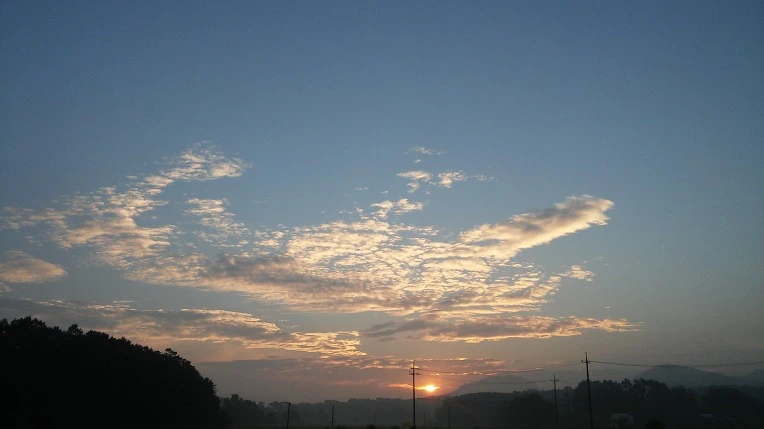 232A834457C4C14813C6CB