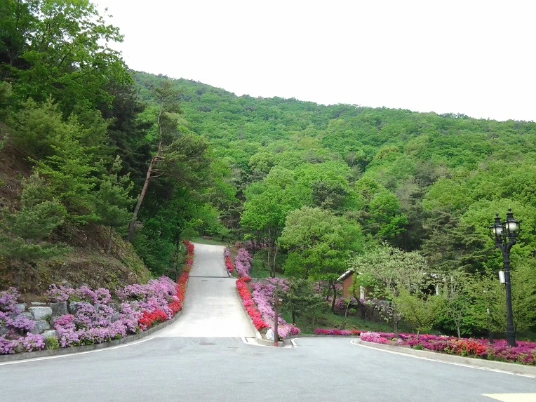 275CD8455191DC2706669F