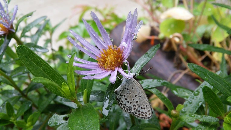 224AEC33597D092E1262C0