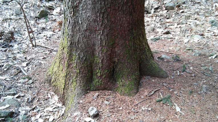 2225784256EDE52E07CD70