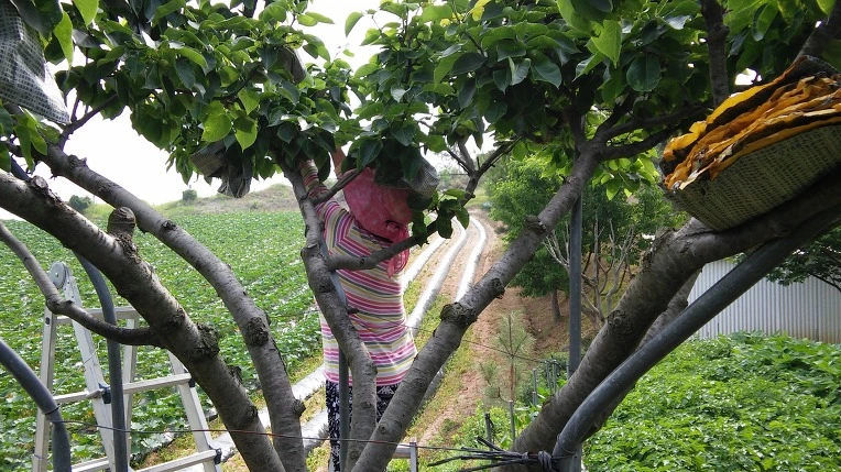 2778833F5757B5103B016F