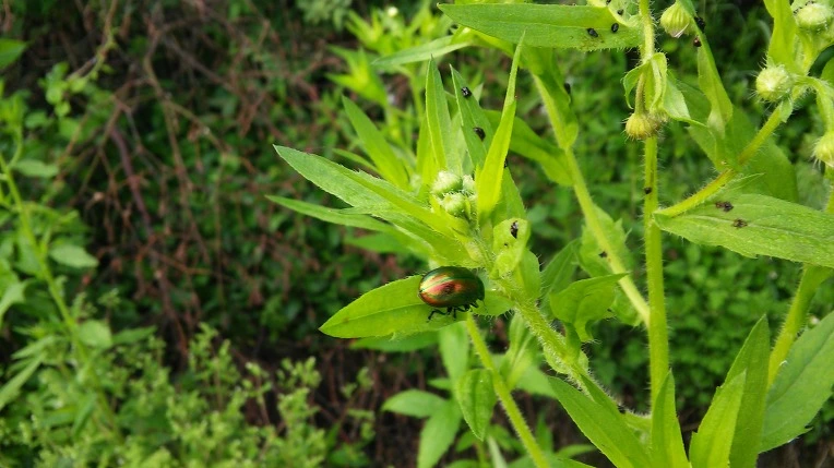 272D834157463417305950