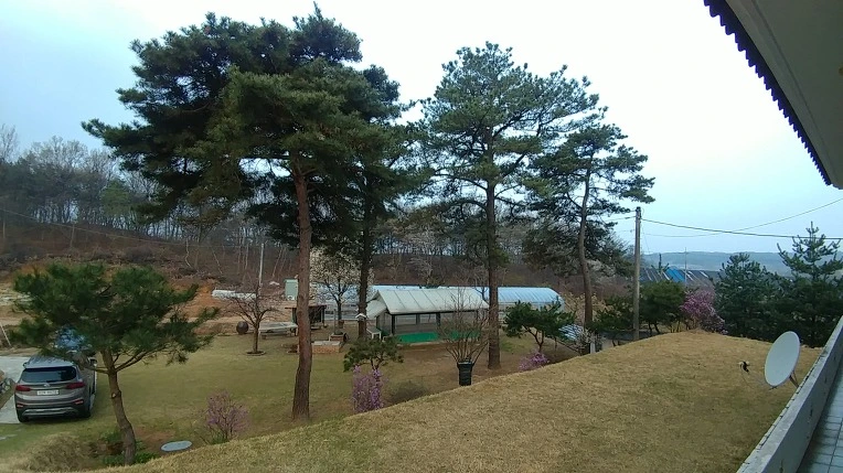 9923B24C5ACD32A80463CA