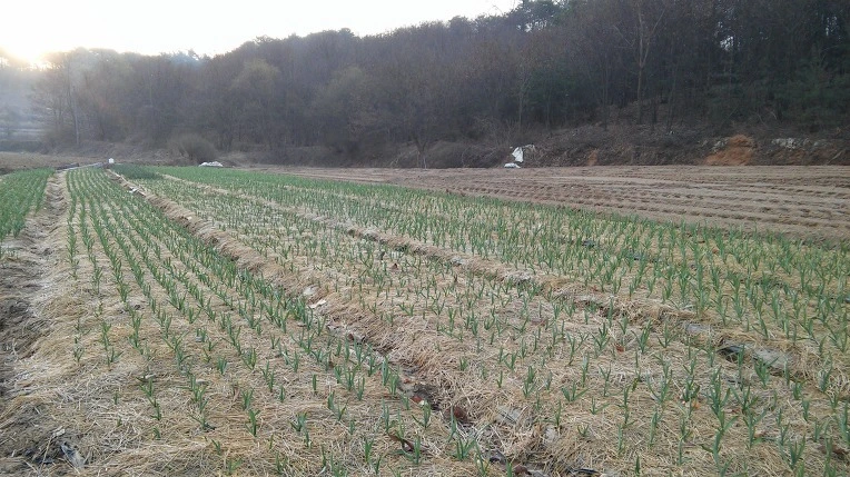 2216D94256FC8BE011037D