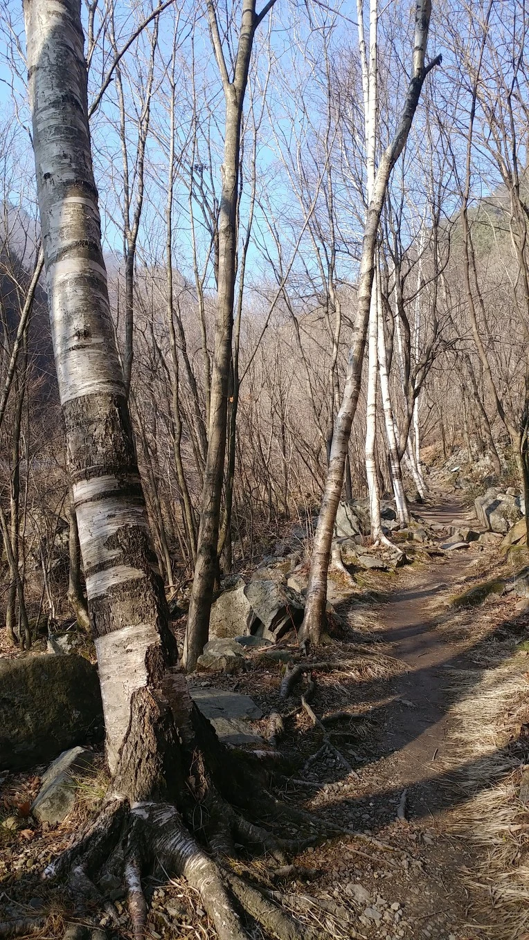 99CE9F3D5EBE1E0521FCED