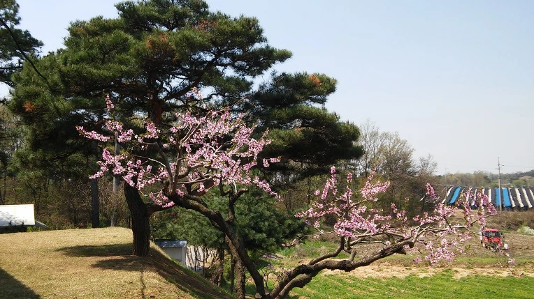 235687415714A15136A160