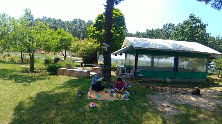 997F10425B13798429D1FA