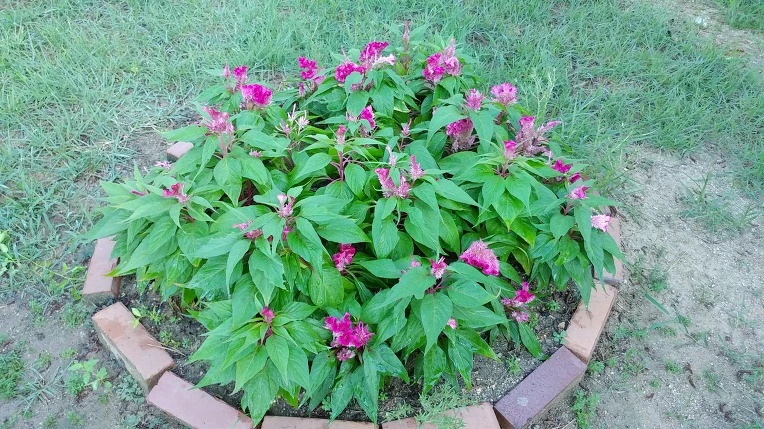 99D189385B6F79A137778D