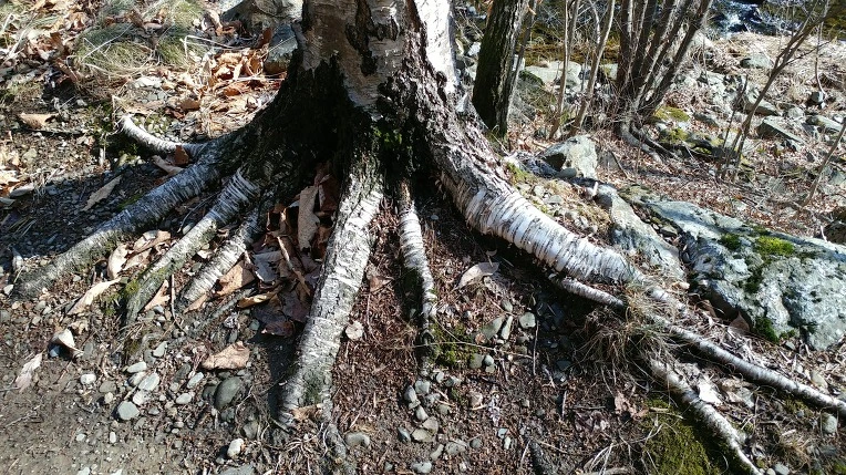 999DCA3D5EBE1DEB22DF62