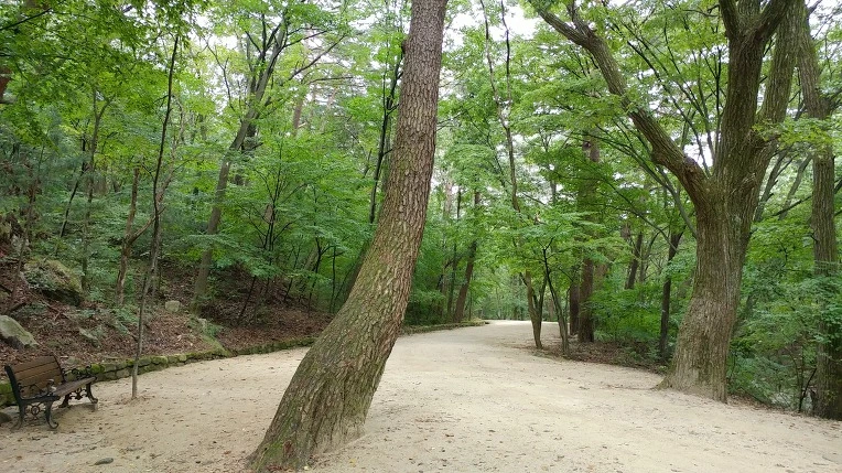 99E36C4F5D9ACD7D3F5999