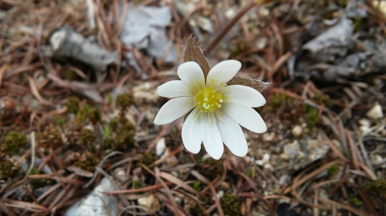 2512574356F4DCE402476C