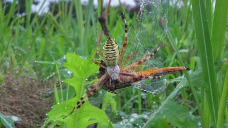 215A5849577B397C0CD6AC