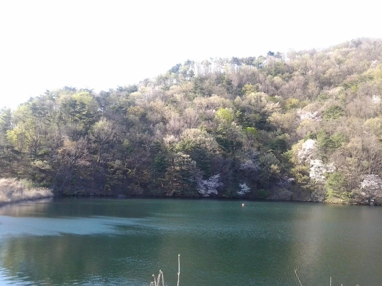 2336D04B56BB1999314B61