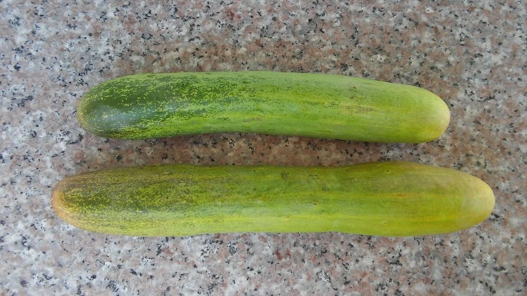 277A084C57C0F688042AE1