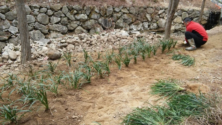 214B474256F4DC7508672E