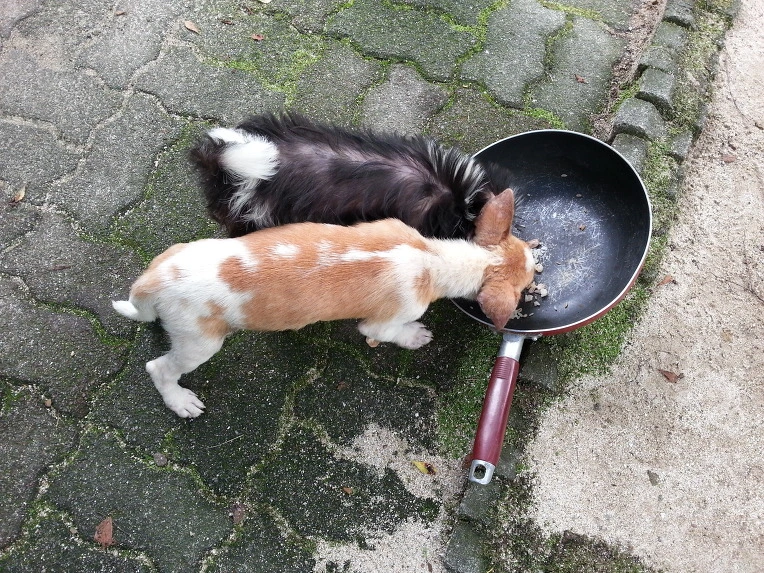 02547D3451EB4FC81E0C13