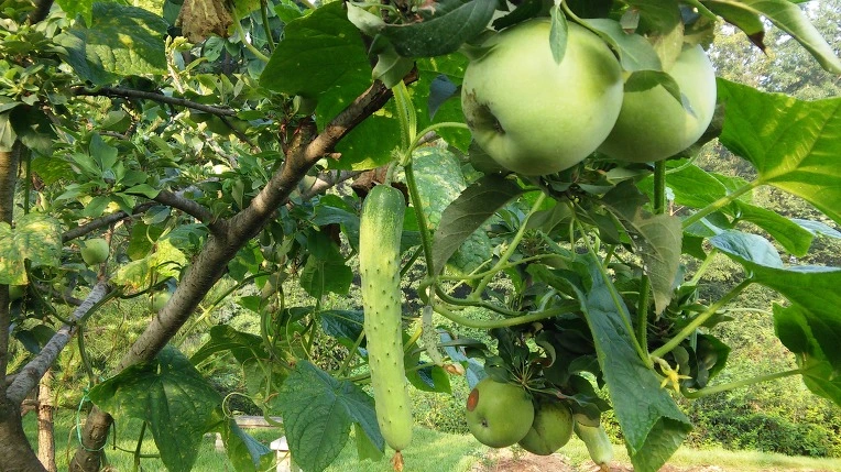 26175C4857A523E125DA1B