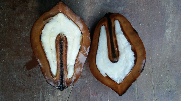 9932993B5EBE1EEA2B920B