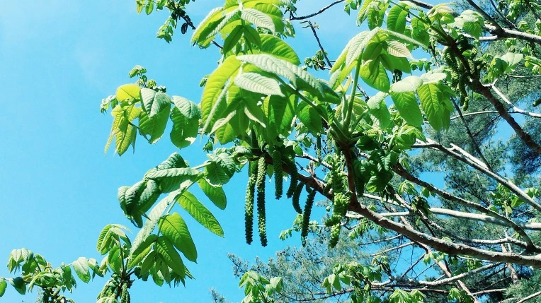 991F8C3B5EBE1EE2249226