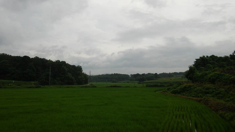 25300349577B39373264E0