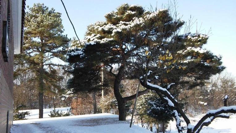 251D973C588403C8040A07