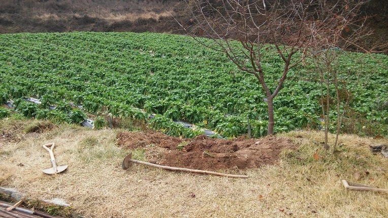 26066E39582A34501163BE