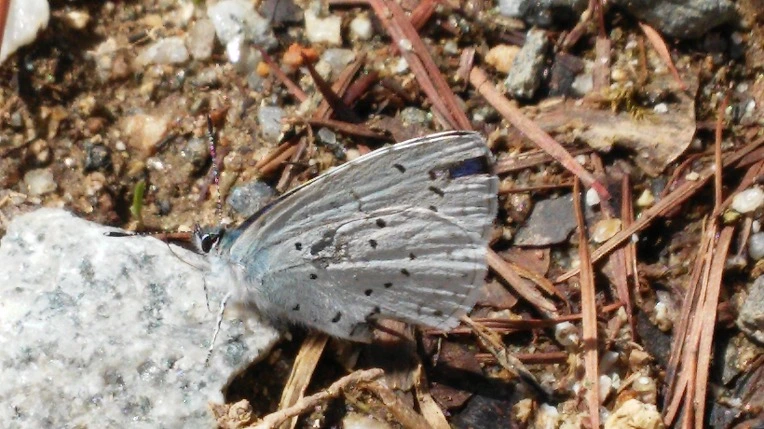 2220D0425699F140302BD1