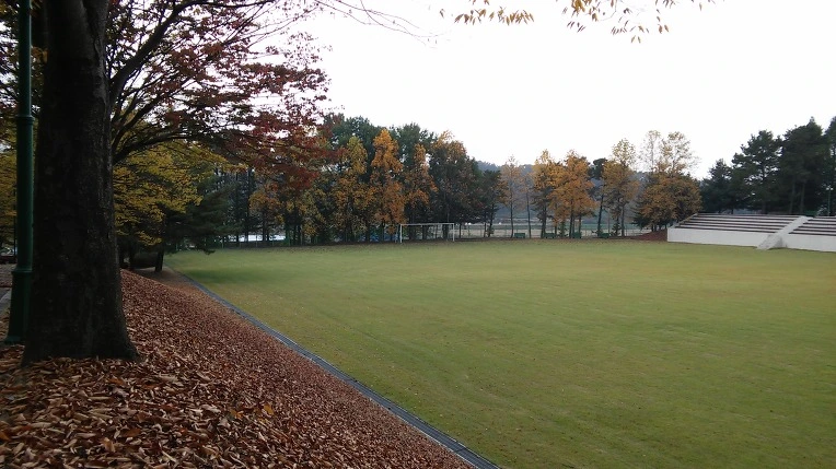 24661433562A9F2D31C472