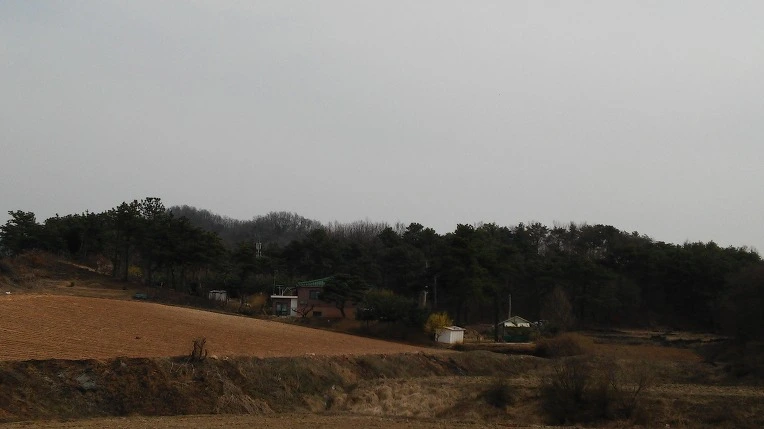 2767254C56FE1A941C3592