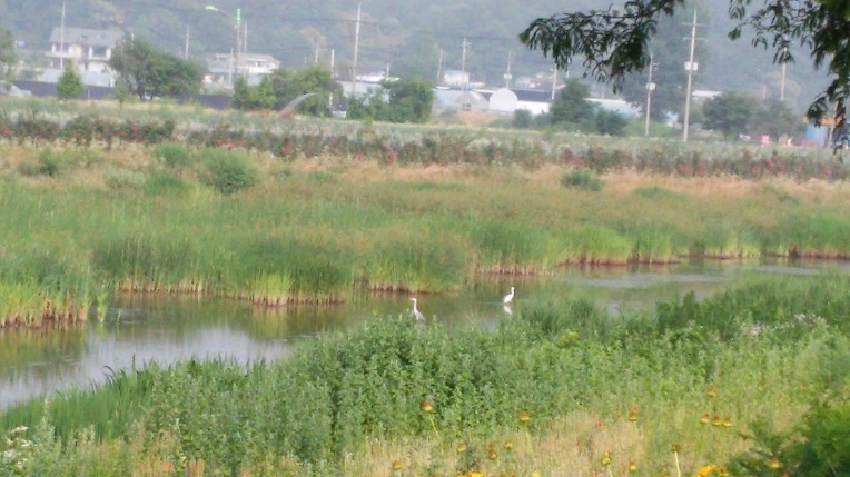 221658355767505D1AEF9F