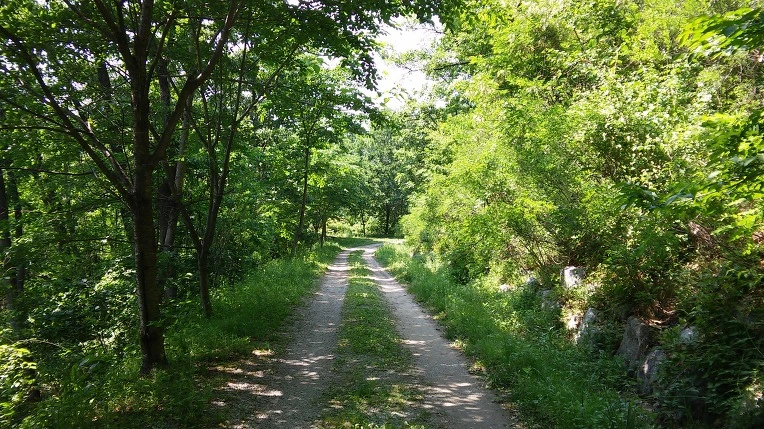 2126D9425560283520EAD0