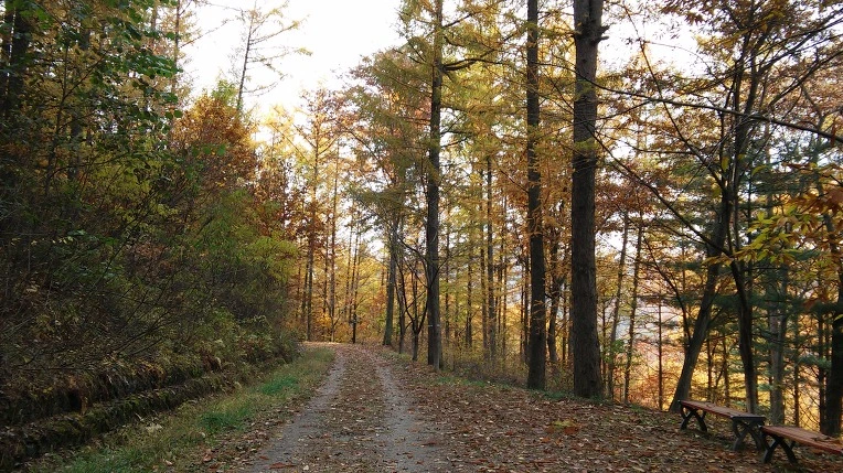 21051435564314DF0A6A47