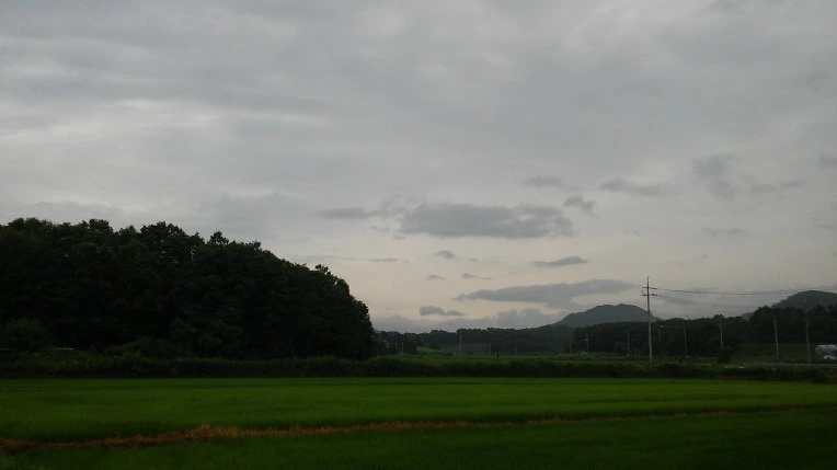 27674A49577B39D8034540