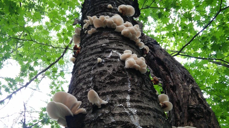 99B4E73359CB17C12859D8