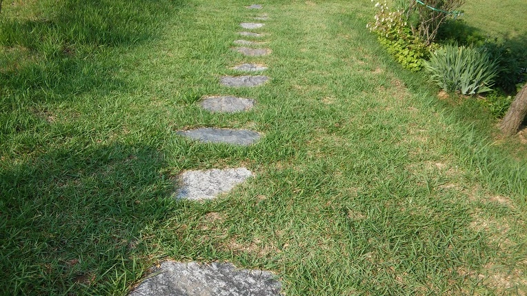 22629133576497021FF61C