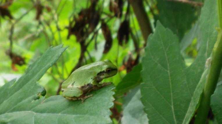 2371A54756B026E73085AF