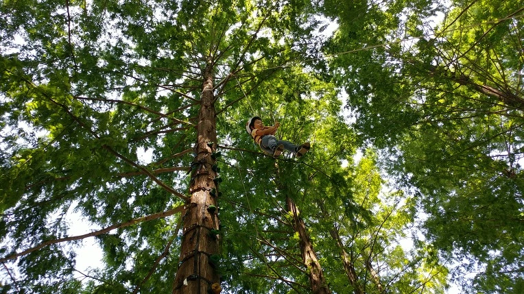 997F73375B57BF5C1D4FF5