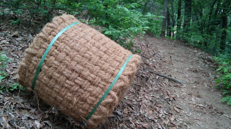 213F284B572FBDE7295472